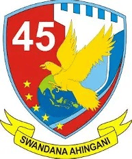 Skadron Udara 45